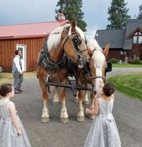 Gallery photo 10 of Erika's Event Planning