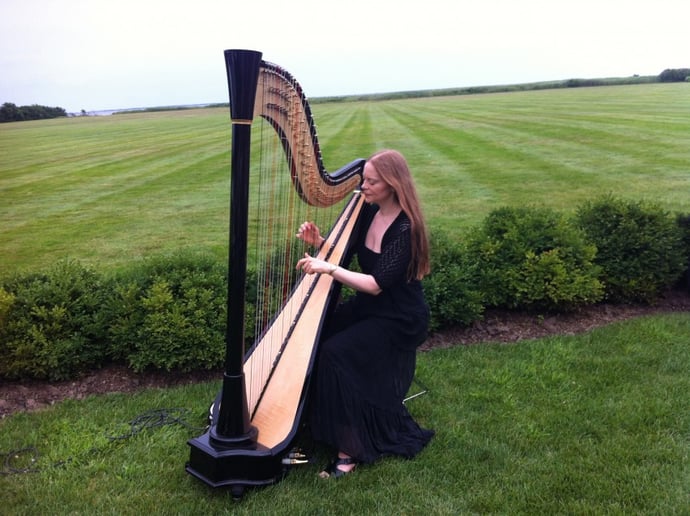 Gallery photo 3 of Erin Hill - Harpist & Singer