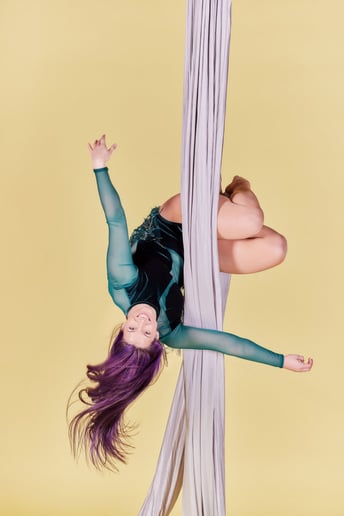 Gallery photo 4 of Erin Nicole Aerials
