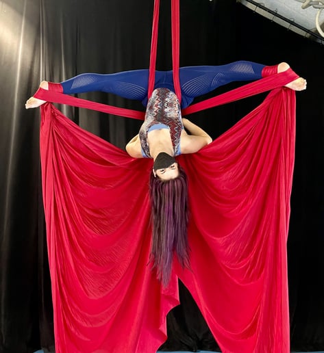 Gallery photo 5 of Erin Nicole Aerials