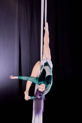 Gallery photo 6 of Erin Nicole Aerials