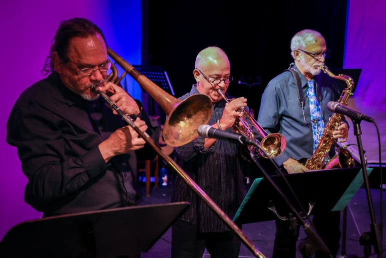 Gallery photo 6 of The Bare Facts Band