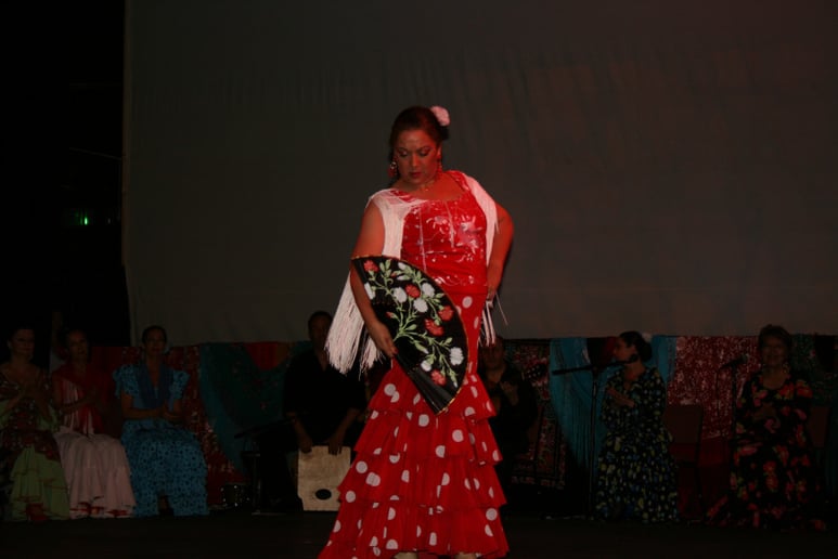 Gallery photo 3 of Espana Flamenca