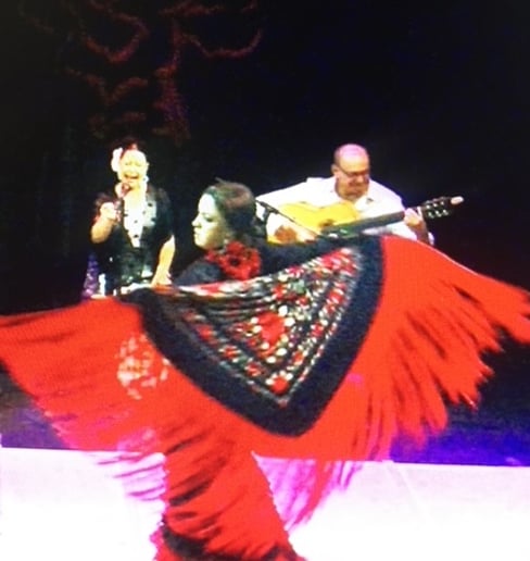 Gallery photo 6 of Espana Flamenca