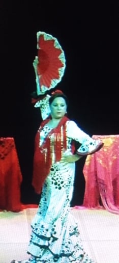 Gallery photo 8 of Espana Flamenca