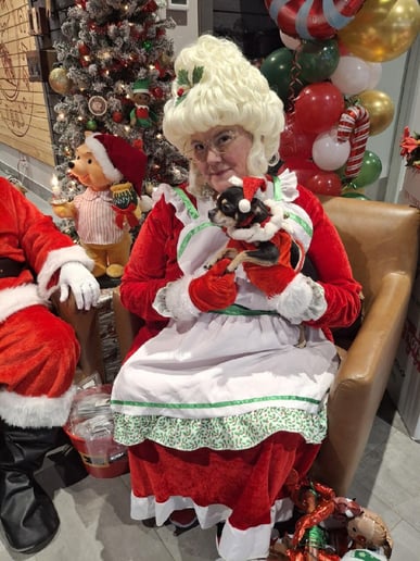 Gallery photo 3 of Eva's Face Painting & character visits
