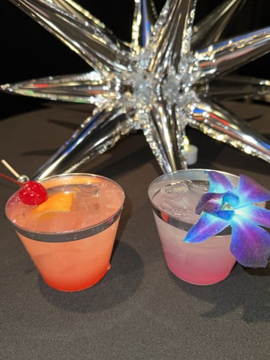 Gallery photo 2 of Romanovitz Event Bartending & Hospitality Services