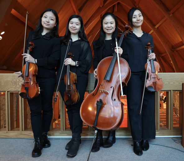Gallery photo 1 of Stringendo Strings