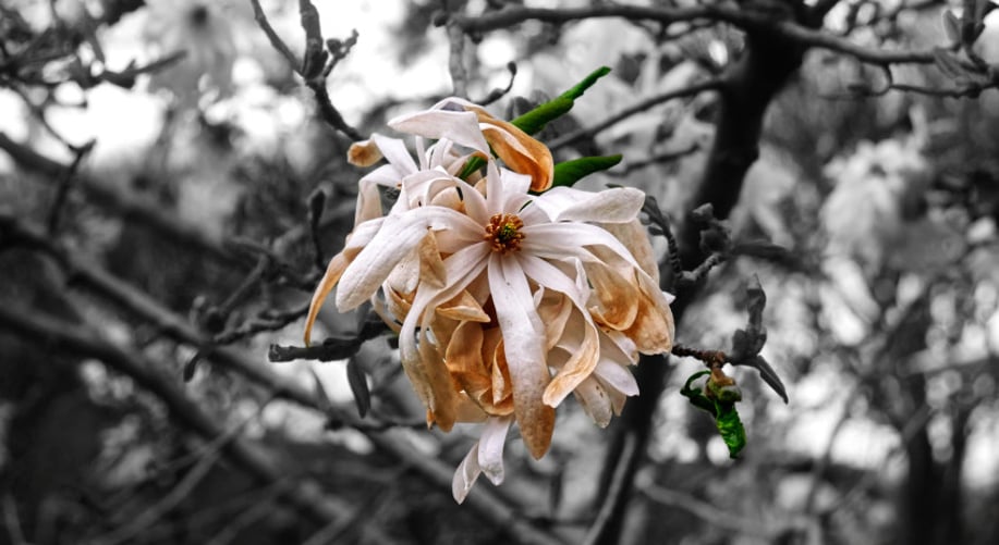 Gallery photo 7 of Eindr Photography