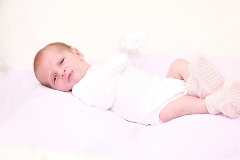 Gallery photo 25 of David Warner Photography