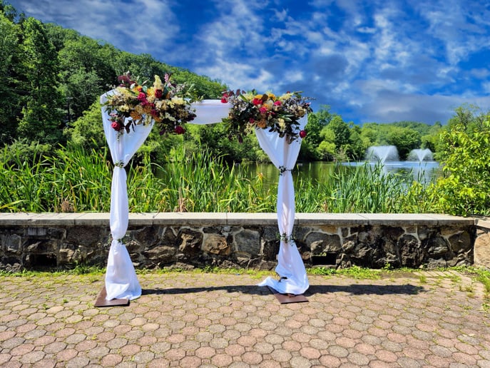 Gallery photo 7 of David Warner Photography