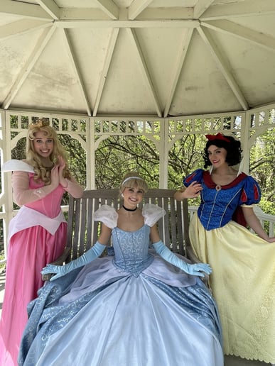 Gallery photo 3 of Ever After Entertainment