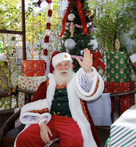 Gallery photo 8 of Sensational Santa