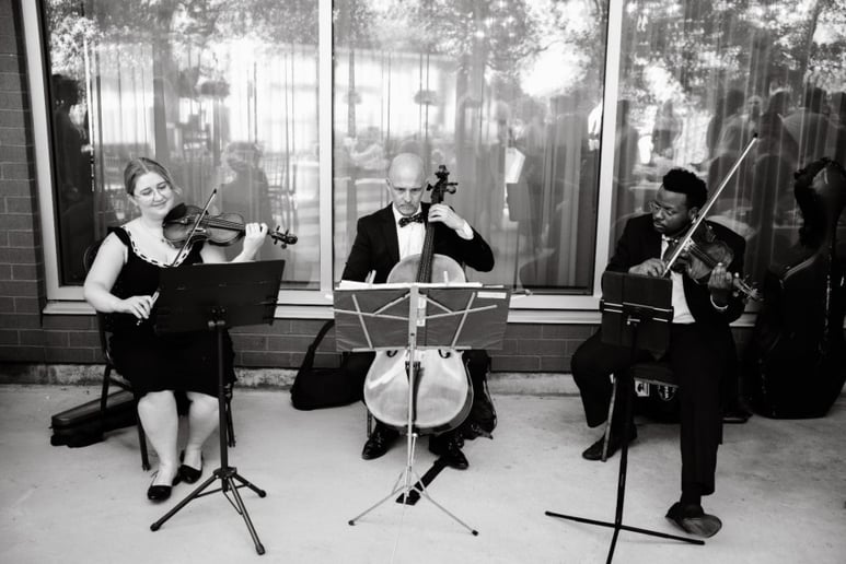 Gallery photo 4 of Evoke Strings