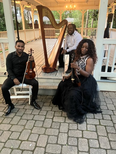 Gallery photo 20 of Noble Music Group