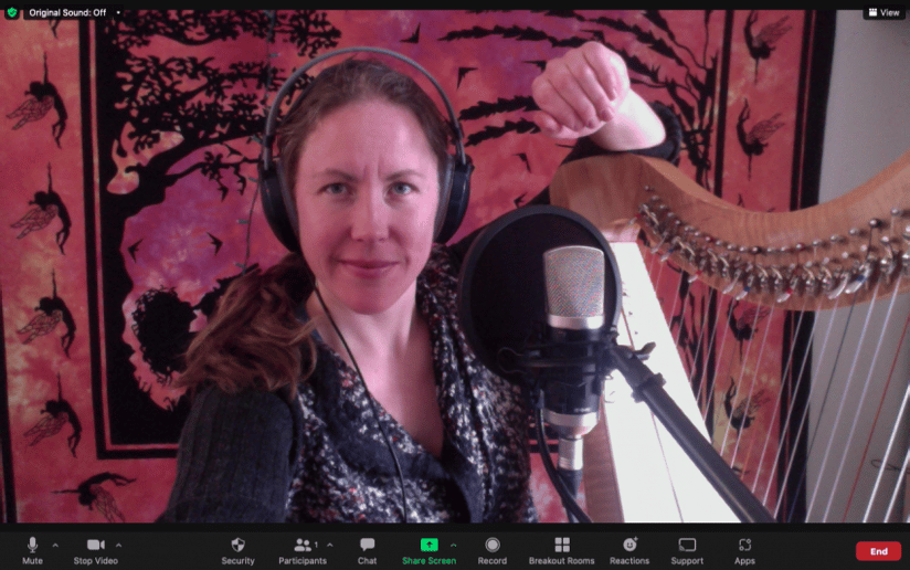 Gallery photo 6 of Experienced Harpist & Harp Faery