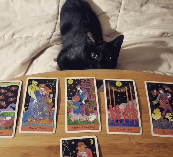 Gallery photo 2 of Tarot Readings with Nicole