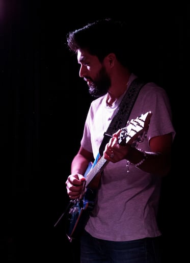 Gallery photo 1 of Professional Guitarist