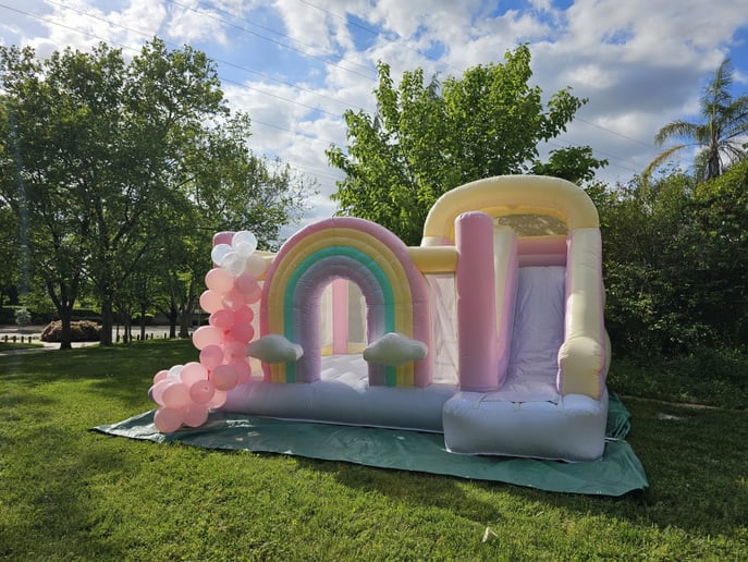 Gallery photo 2 of Facepainting/BalloonTwisting/BounceHouse