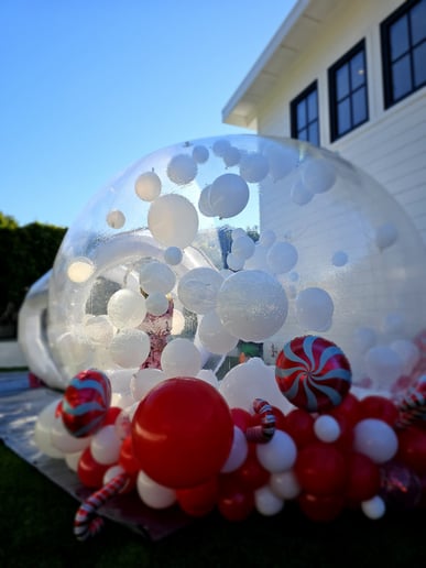 Gallery photo 7 of Facepainting/BalloonTwisting/BounceHouse