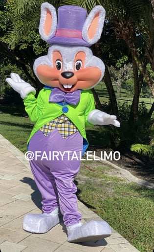 Gallery photo 7 of Fairytalelimo