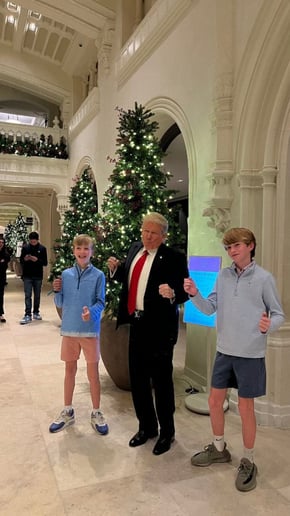 Gallery photo 4 of "Fake Trump"