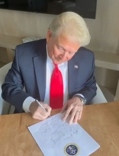 Gallery photo 1 of "Fake Trump"