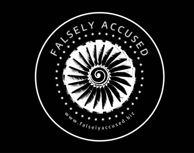 Gallery photo 5 of Falsely Accused