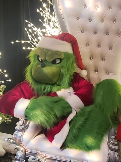 Gallery photo 4 of Family Friendly Grinch