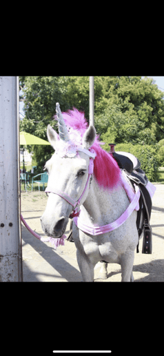 Gallery photo 1 of Starlight Enchanted Rides