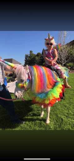 Gallery photo 8 of Starlight Enchanted Rides