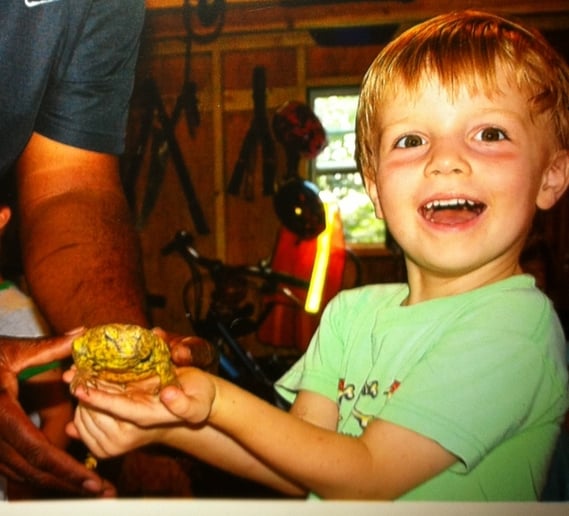 Gallery photo 10 of Fangs, Frogs and More