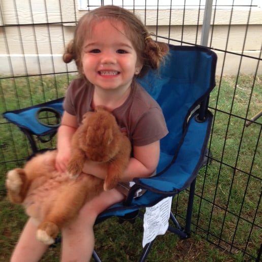 Gallery photo 2 of Fannie's Farm Friends Mobile Petting Zoo