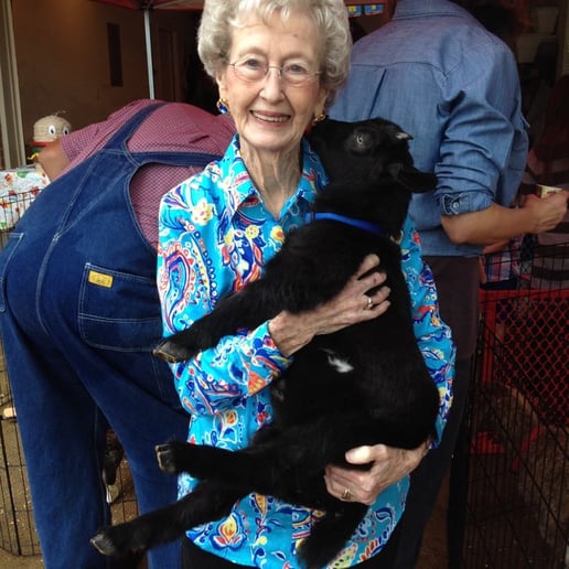 Gallery photo 5 of Fannie's Farm Friends Mobile Petting Zoo