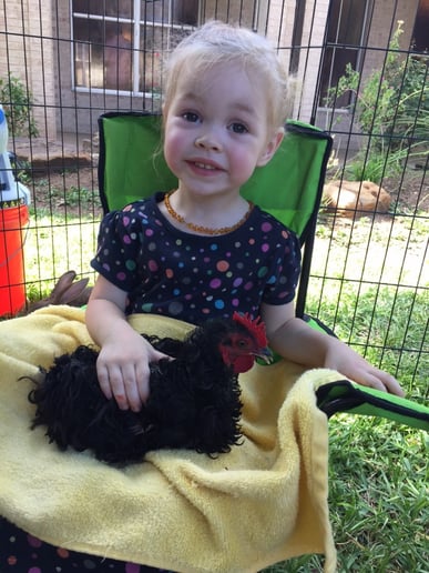 Gallery photo 7 of Fannie's Farm Friends Mobile Petting Zoo