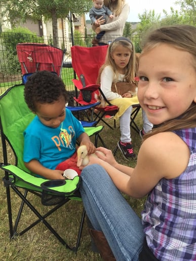 Gallery photo 1 of Fannie's Farm Friends Mobile Petting Zoo