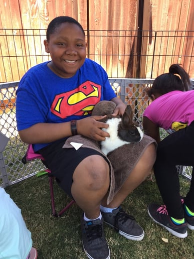 Gallery photo 8 of Fannie's Farm Friends Mobile Petting Zoo