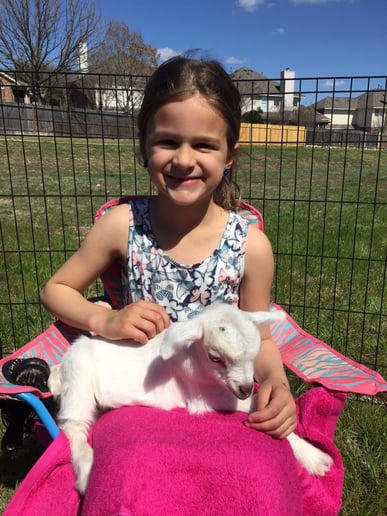 Gallery photo 10 of Fannie's Farm Friends Mobile Petting Zoo