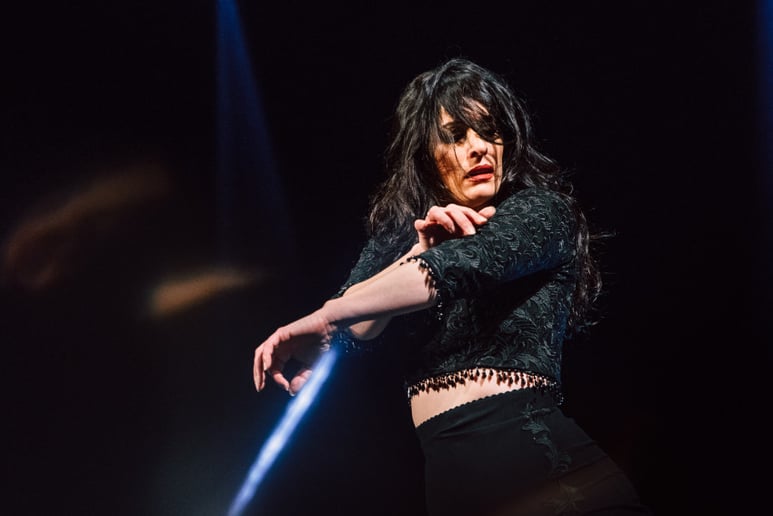 Gallery photo 4 of Fanny Ara Flamenco Dance Company