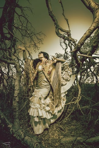 Gallery photo 6 of Fanny Ara Flamenco Dance Company
