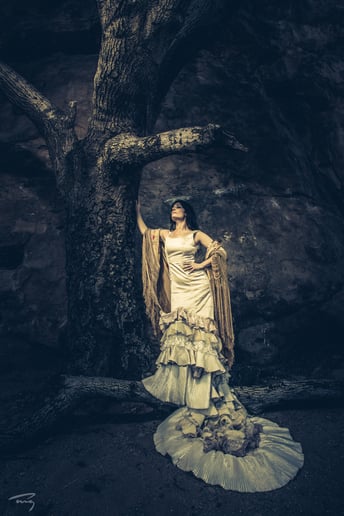 Gallery photo 11 of Fanny Ara Flamenco Dance Company