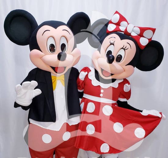 Gallery photo 1 of Fantasia Costumed Characters