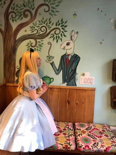 Gallery photo 8 of Fantastic Dreams Entertainment