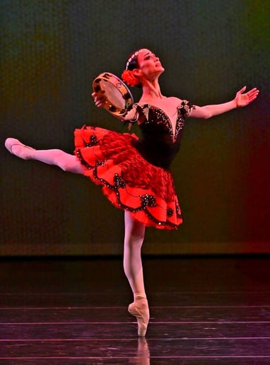 Gallery photo 1 of Fashion Ballerina