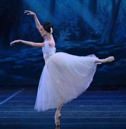 Gallery photo 2 of Fashion Ballerina