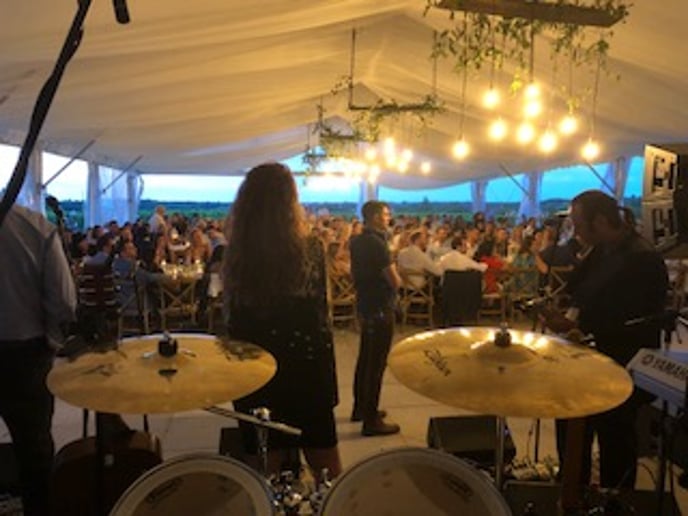Gallery photo 6 of The Jade Monkeys