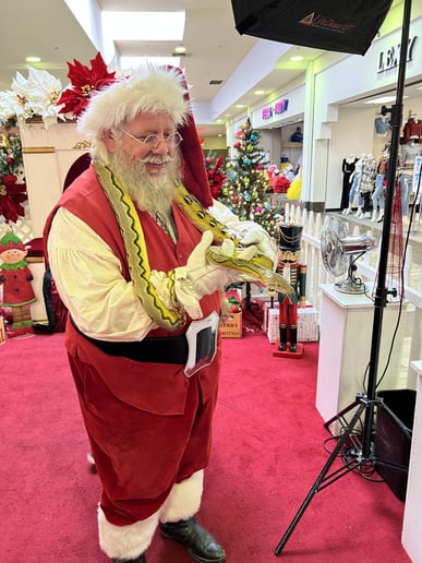 Gallery photo 2 of Father Christmas