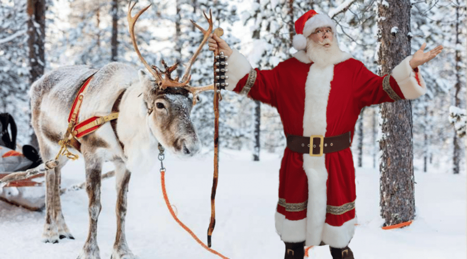 Gallery photo 4 of Father Christmas /Santa