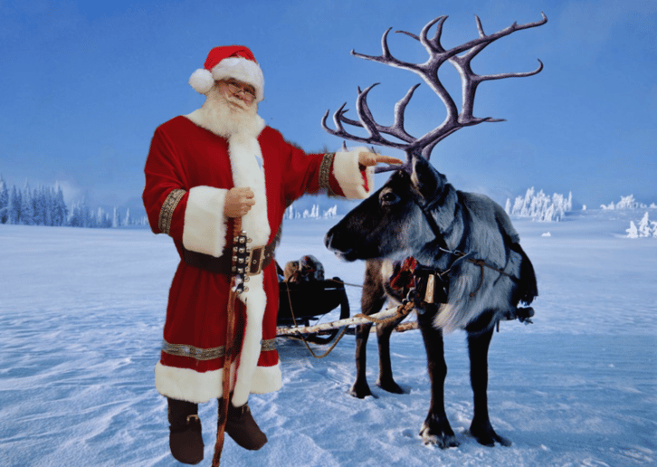 Gallery photo 6 of Father Christmas /Santa