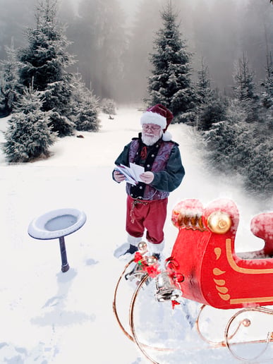 Gallery photo 2 of Father Yule
